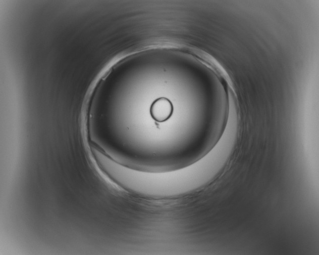 X0000115731243200911191406