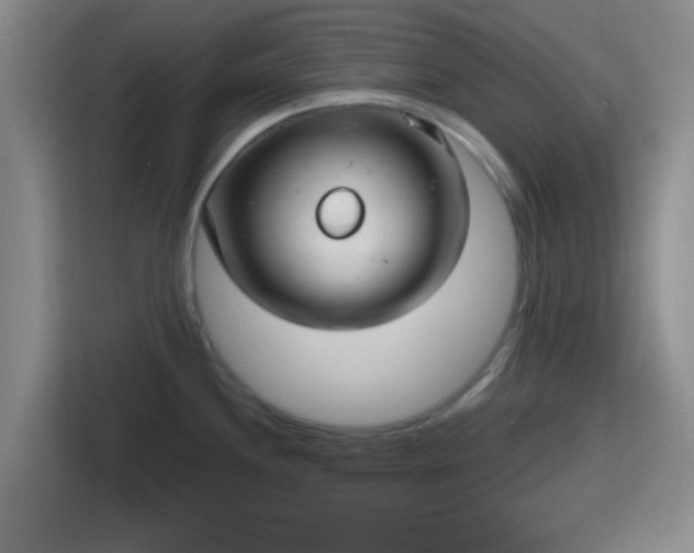 X0000115731244200911191406