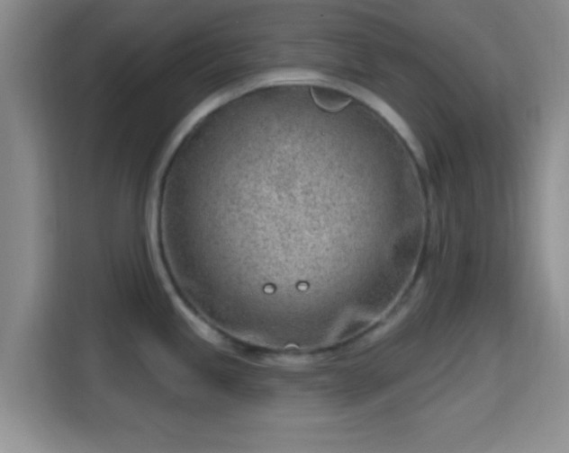 X0000115731245200911191406