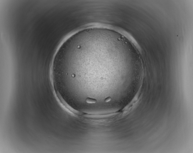 X0000115731247200911191406