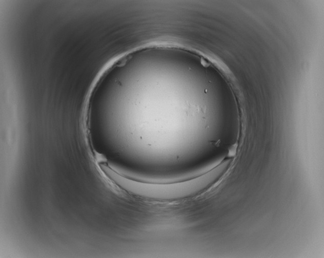 X0000115731248200911191406