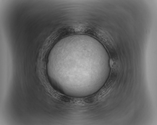 X0000115731249200911191405