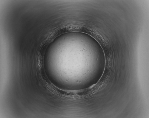 X0000115731250200911191405