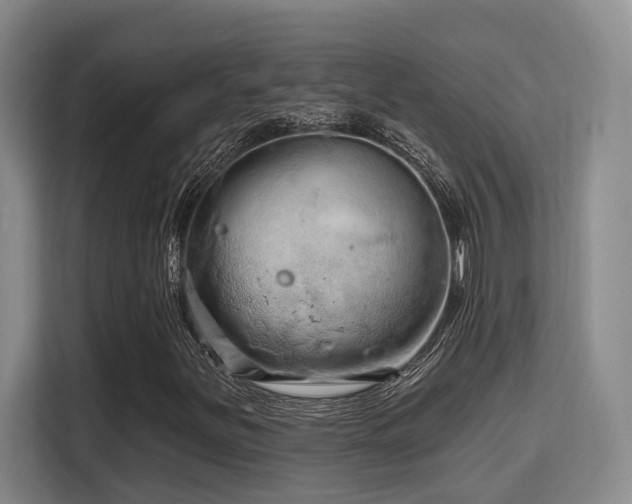 X0000115731251200911191405