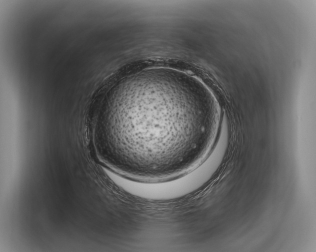 X0000115731253200911191405