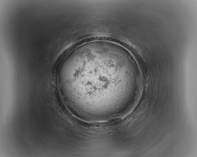 X0000115731255200911191405