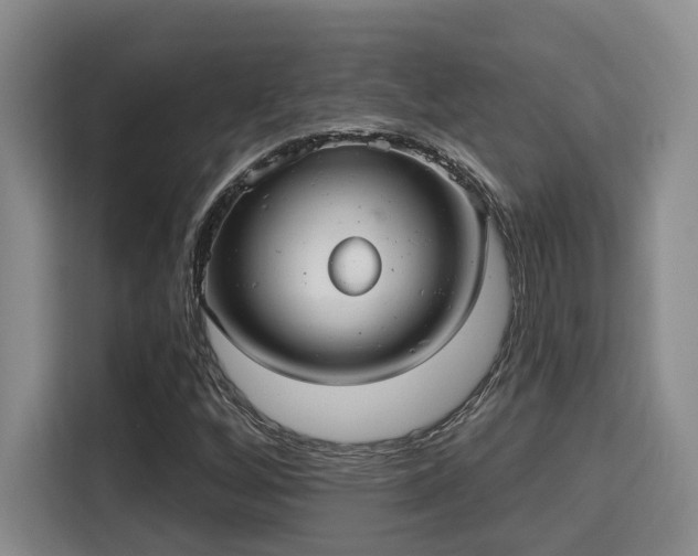 X0000115731256200911191405