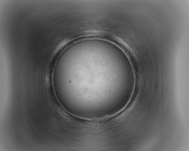 X0000115731259200911191405