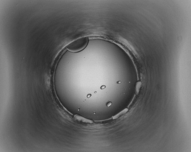 X0000115731260200911191405