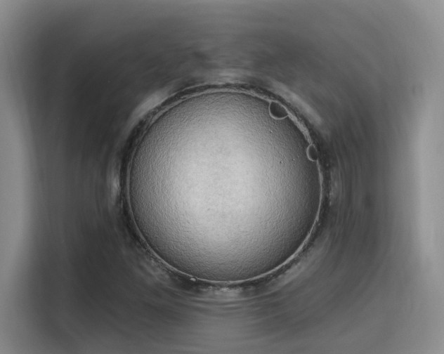 X0000115731261200911191405