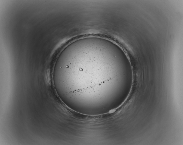 X0000115731262200911191405