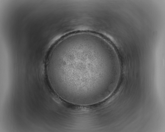 X0000115731263200911191405