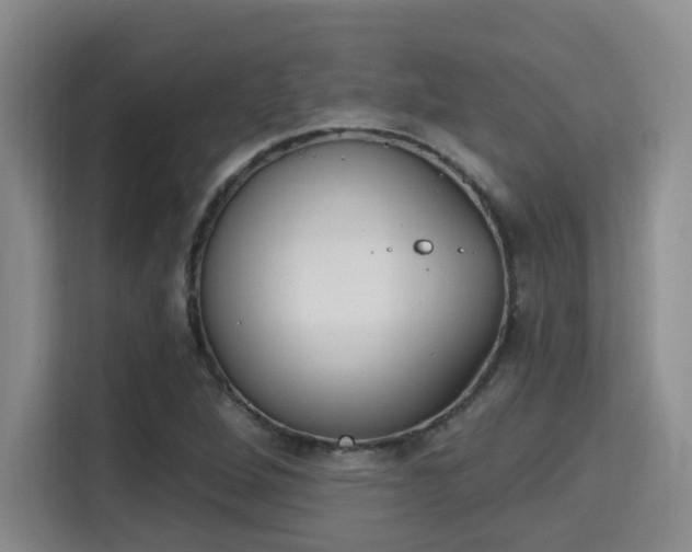 X0000115731264200911191405