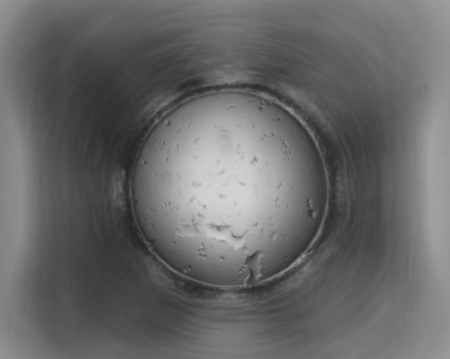 X0000115731265200911191405