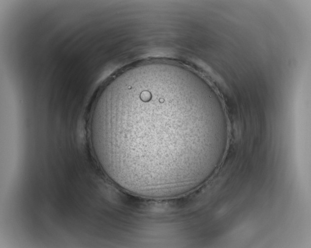 X0000115731266200911191405