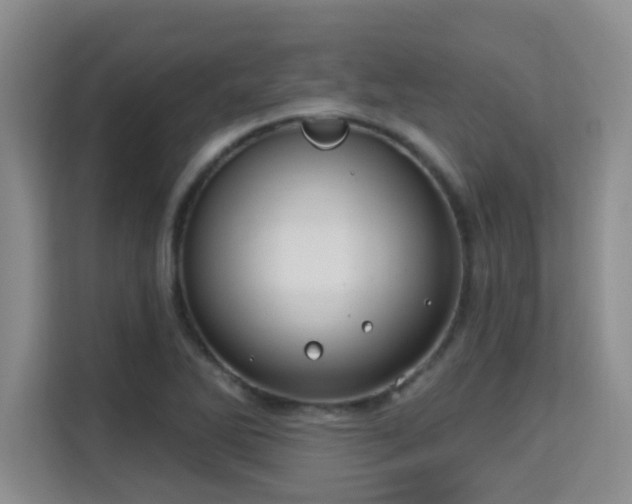 X0000115731270200911191405