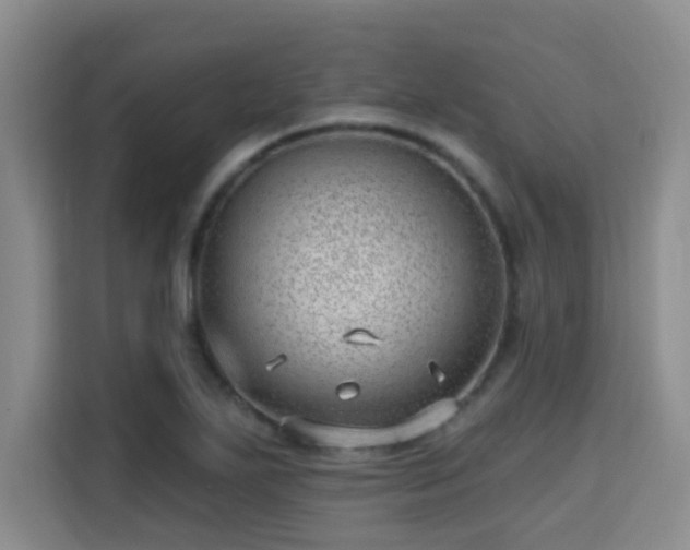 X0000115731271200911191405