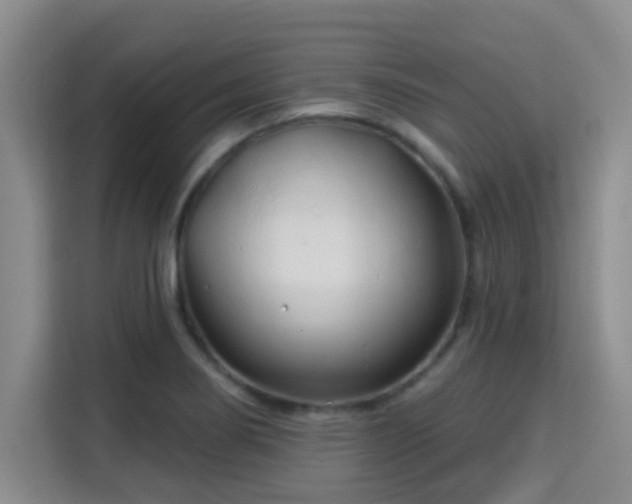 X0000115731274200911191405