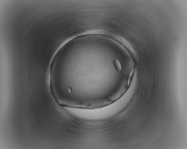 X0000115731276200911191405