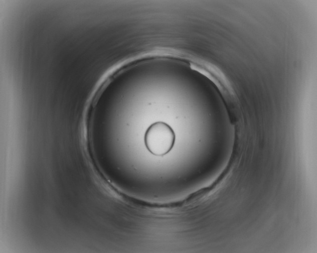 X0000115731280200911191405