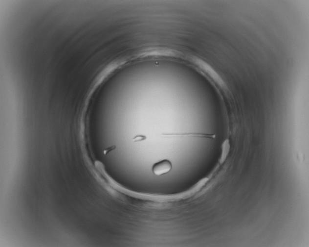 X0000115731282200911191405