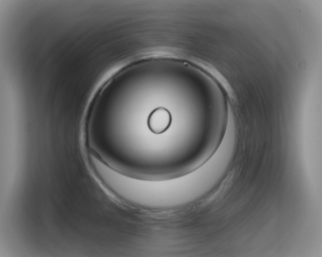 X0000115731285200911191405