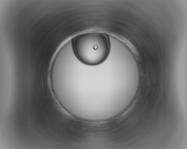 X0000115731288200911191405