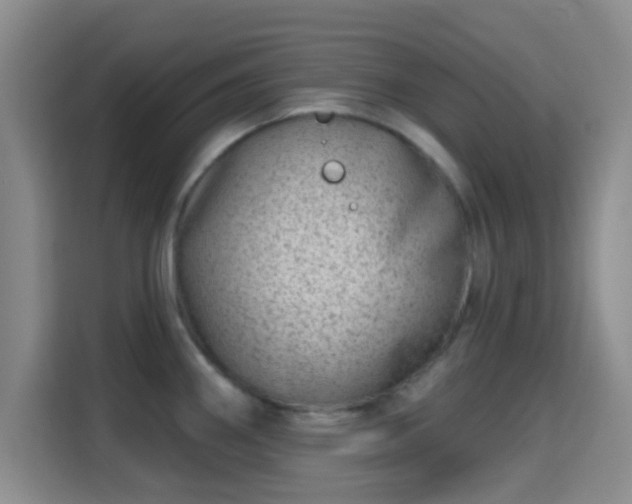 X0000115731290200911191404