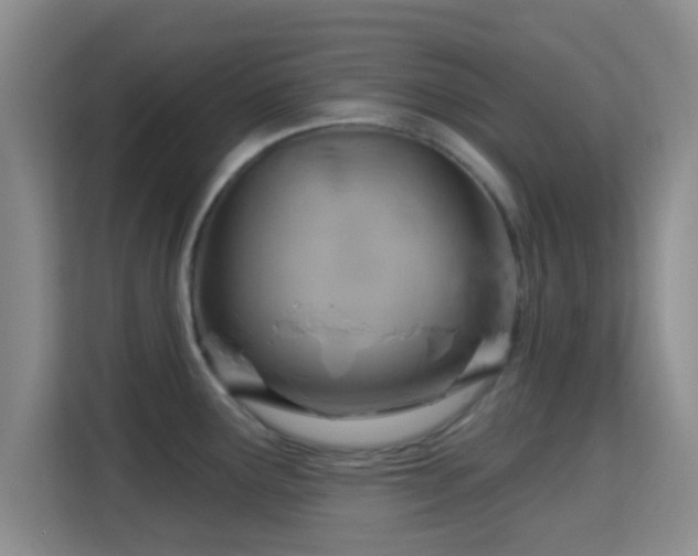 X0000115731291200911191404