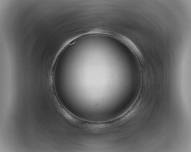 X0000115731292200911191404