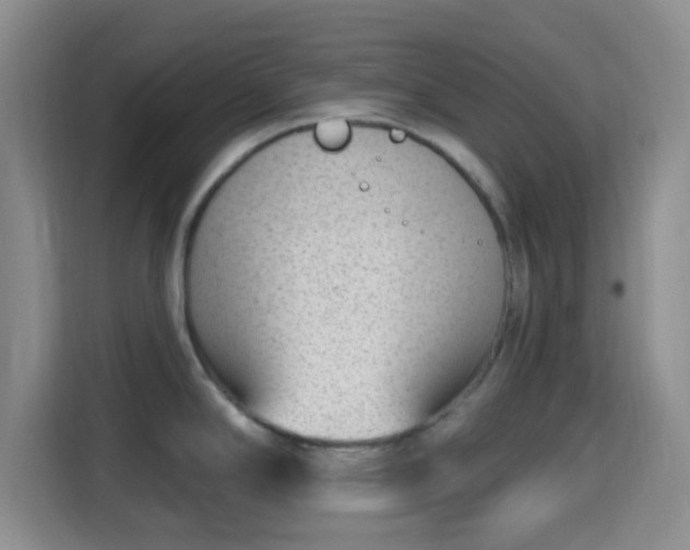 X0000115731294200911191404