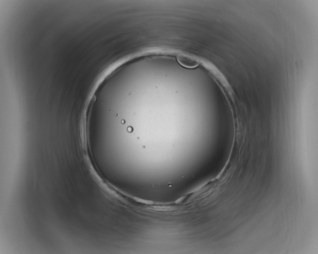 X0000115731295200911191404