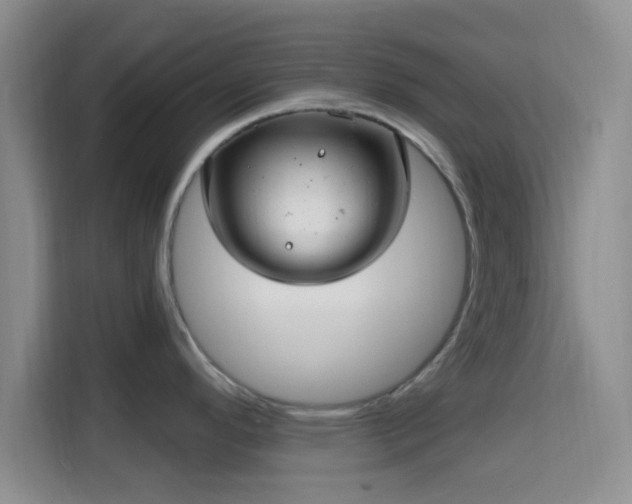 X0000115731296200911191404