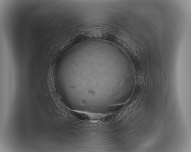 X0000115731297200911191404