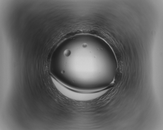 X0000115731298200911191404