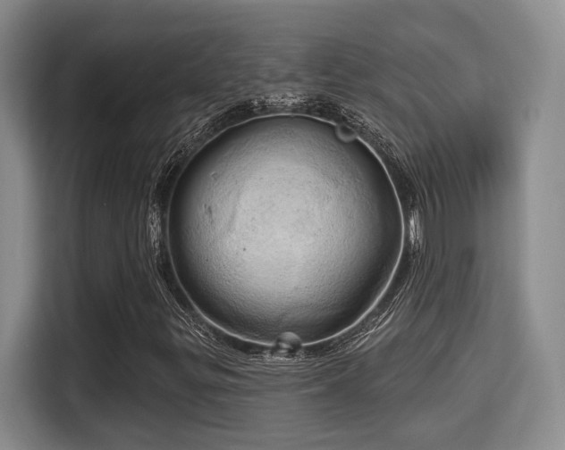 X0000115731299200911191404