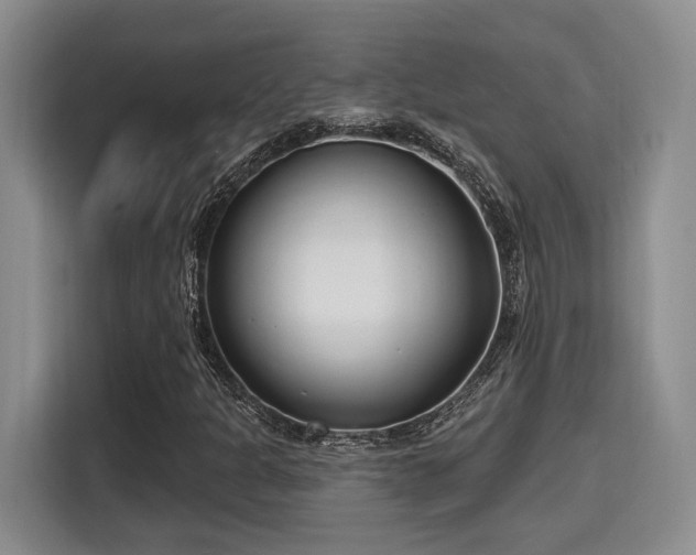 X0000115731301200911191404