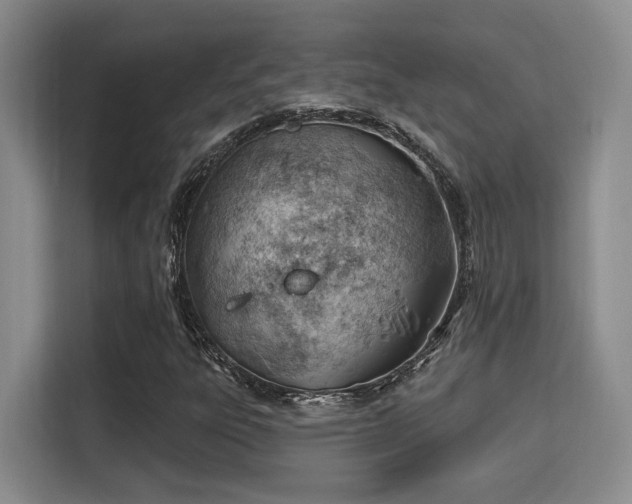 X0000115731303200911191404