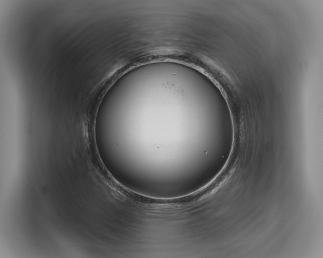 X0000115731305200911191404