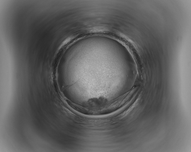 X0000115731306200911191404