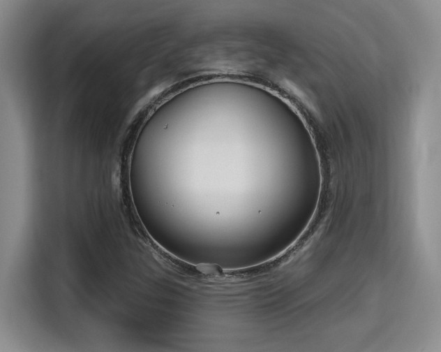 X0000115731307200911191404