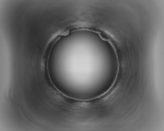 X0000115731309200911191404