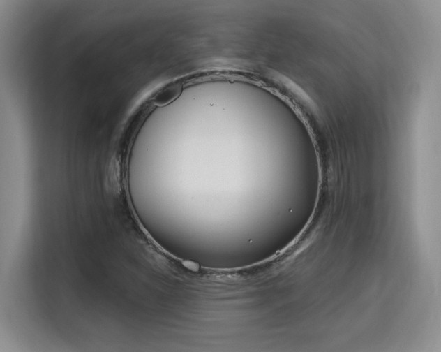 X0000115731310200911191404