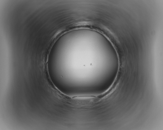 X0000115731313200911191404