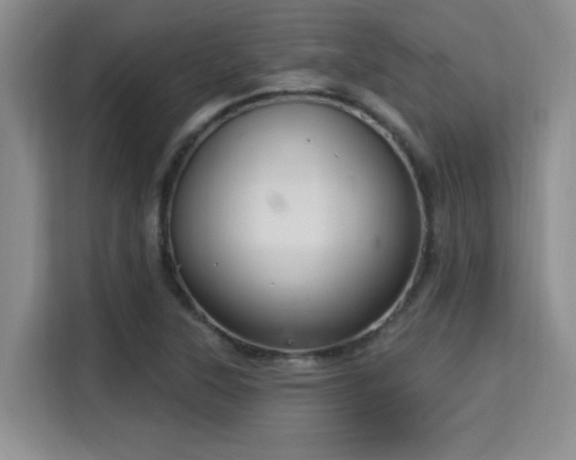 X0000115731315200911191404