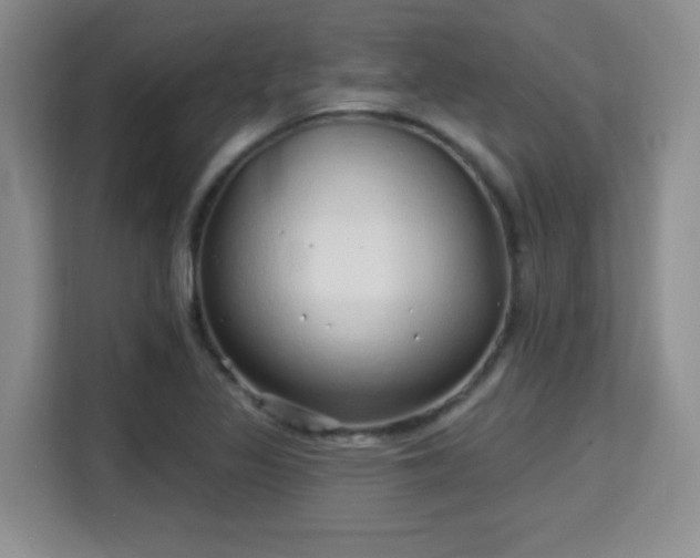 X0000115731317200911191404