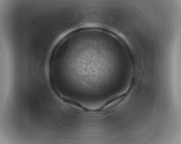 X0000115731319200911191404