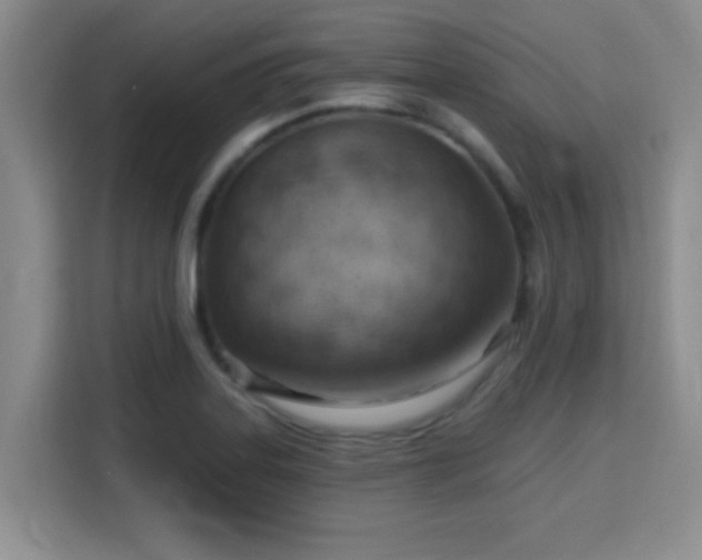 X0000115731323200911191404