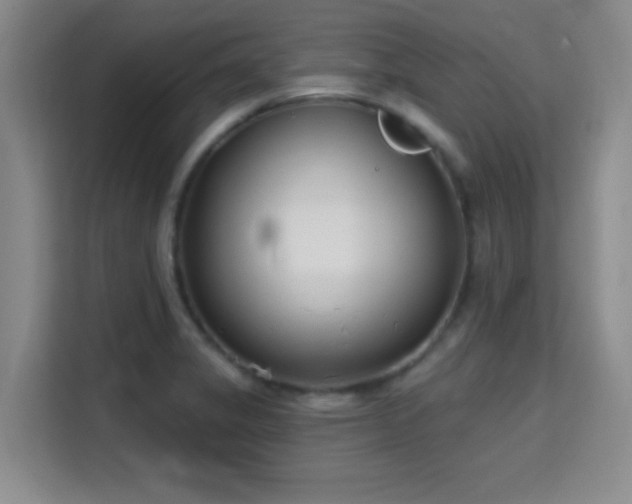 X0000115731325200911191404