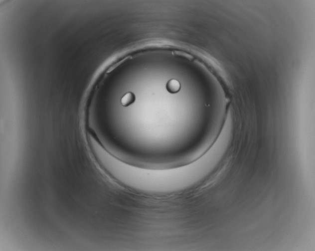 X0000115731326200911191404